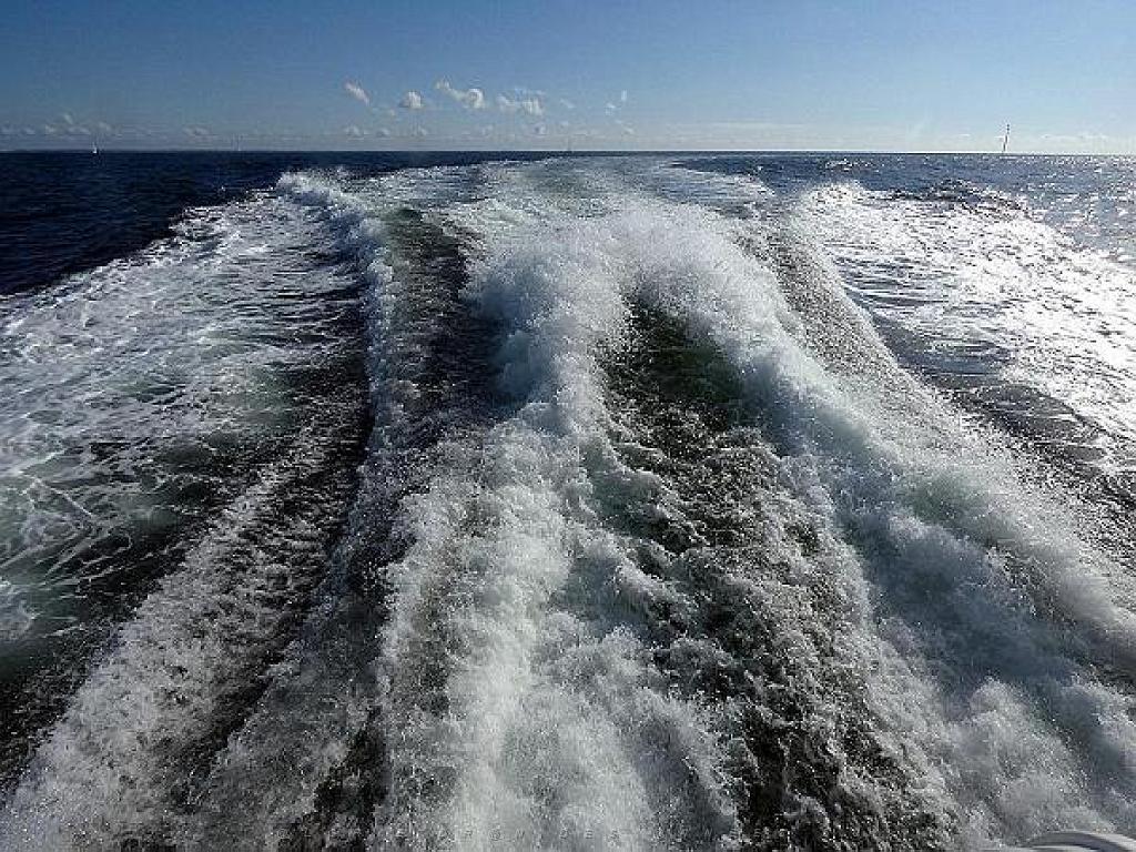 156 ILE DE HOEDIC_000074.jpg